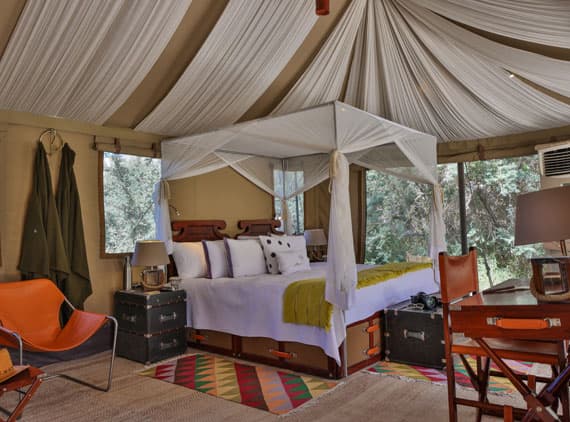 Chamba Camp Diskit photo 3