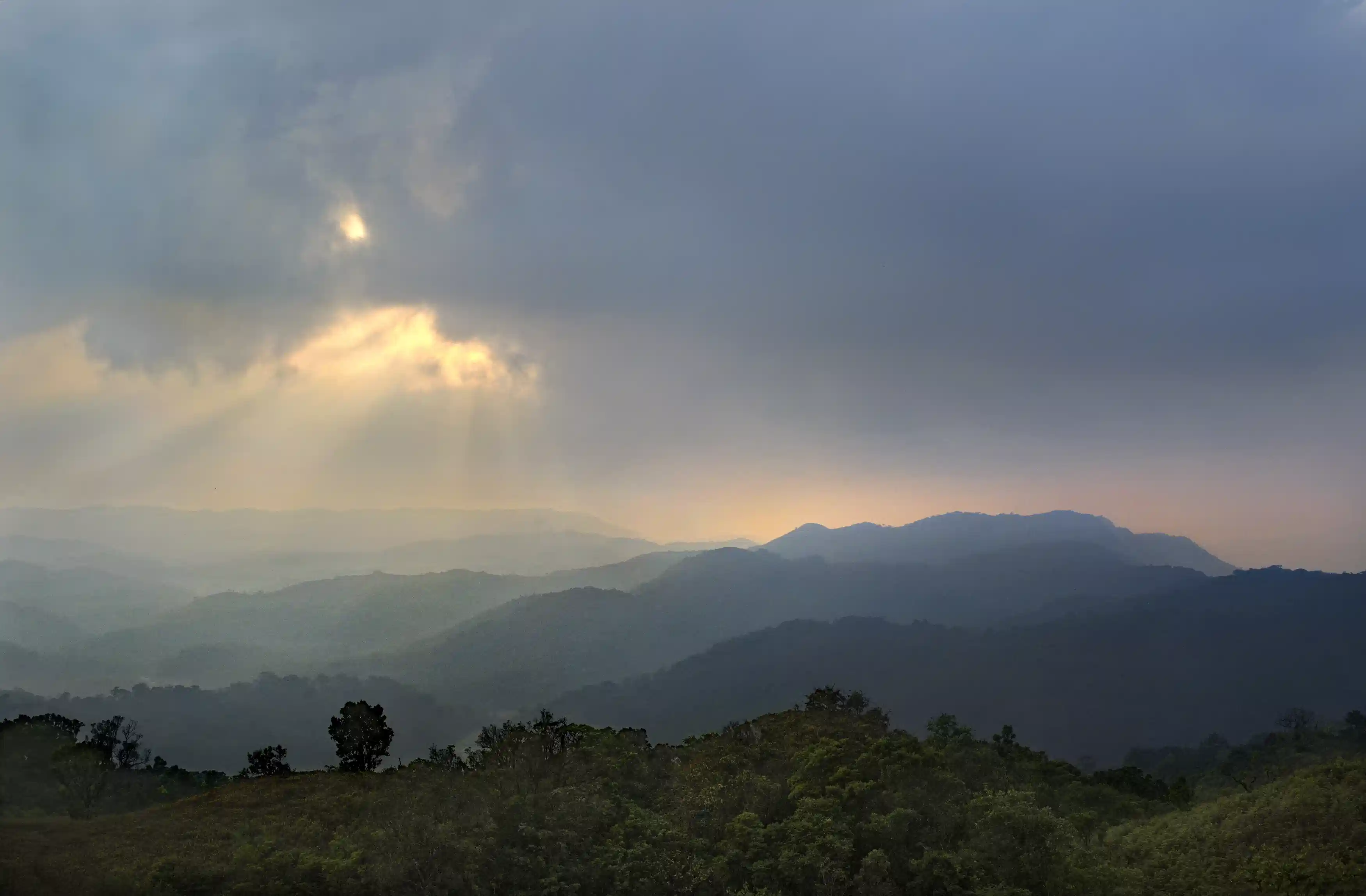 Evolve Back, Coorg photo 2