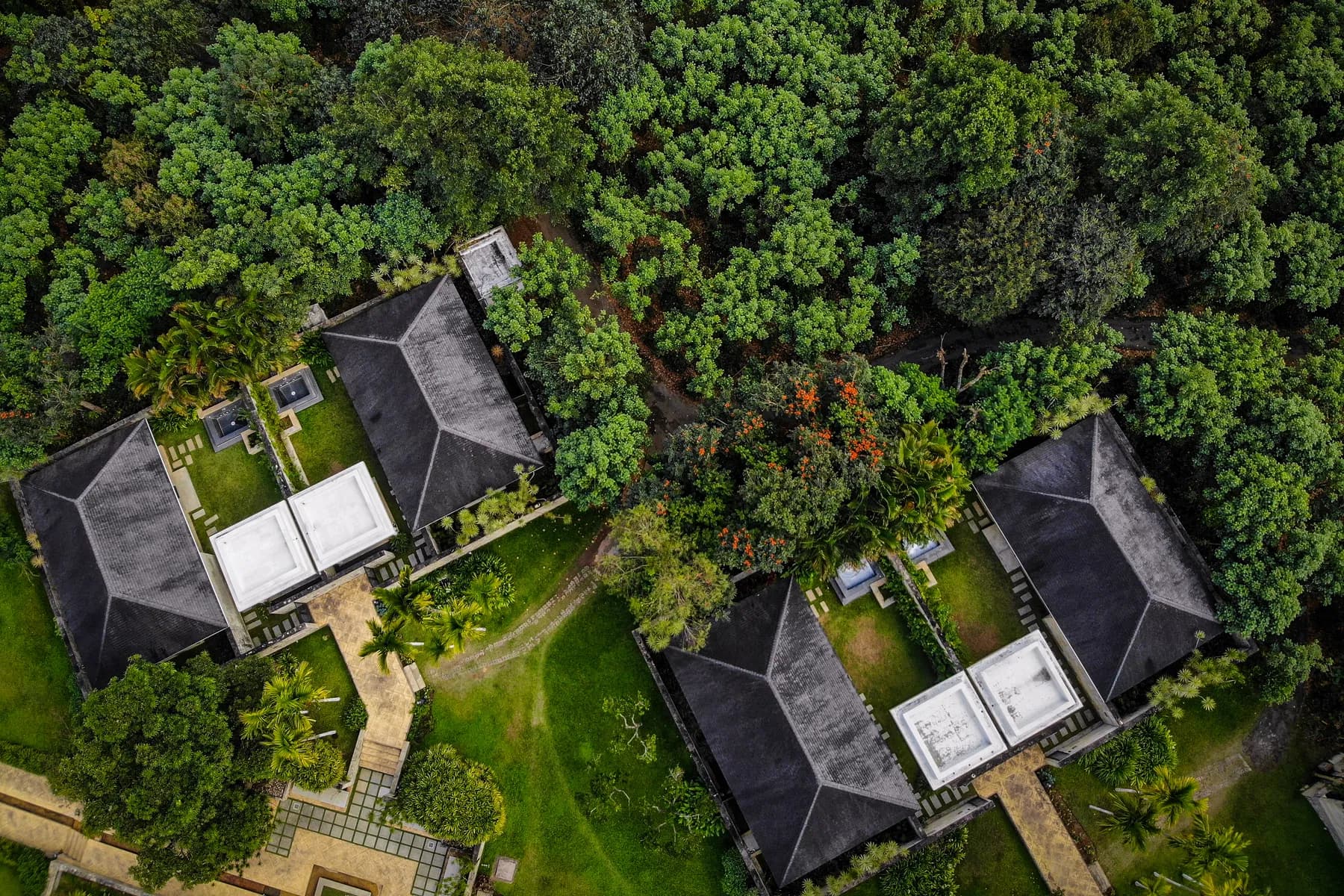 The Serai Chikmagalur photo 5