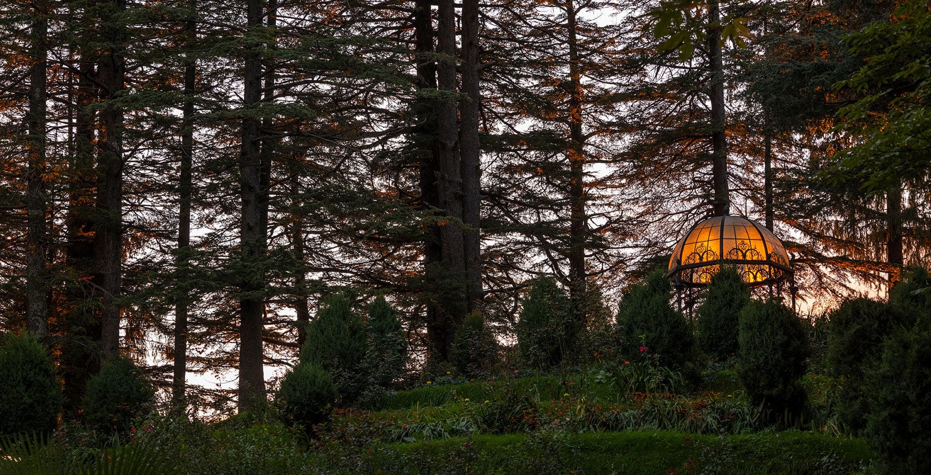Wildflower Hall, An Oberoi Resort, Shimla