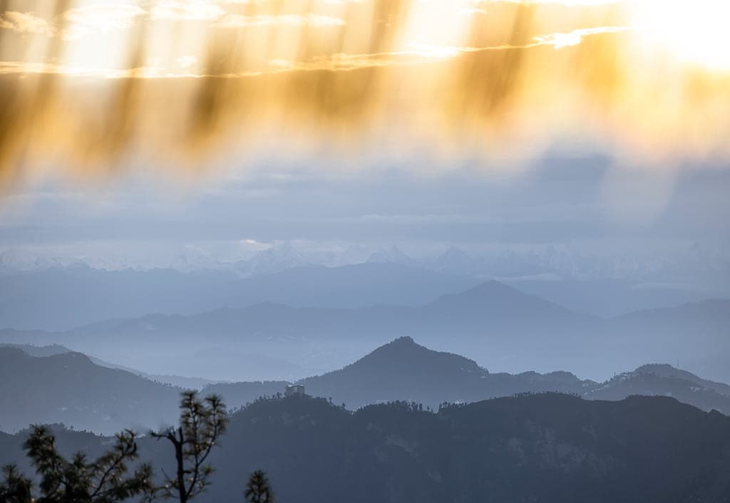 Wildflower Hall, An Oberoi Resort, Shimla photo 5
