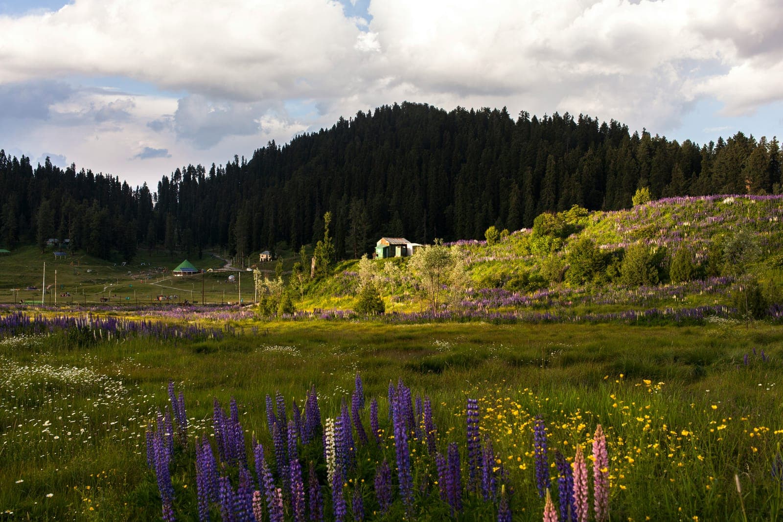 Kashmir Honeymoon Retreat