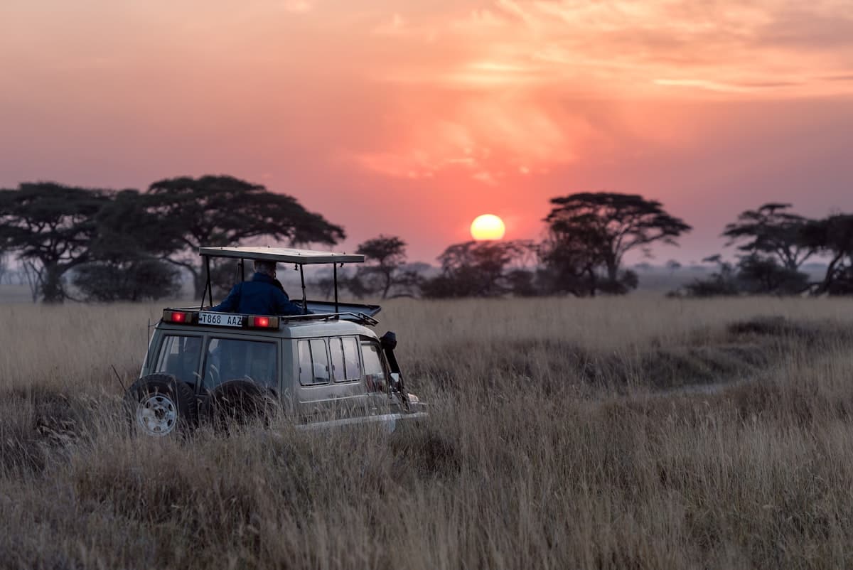Tanzania Wildlife Safari