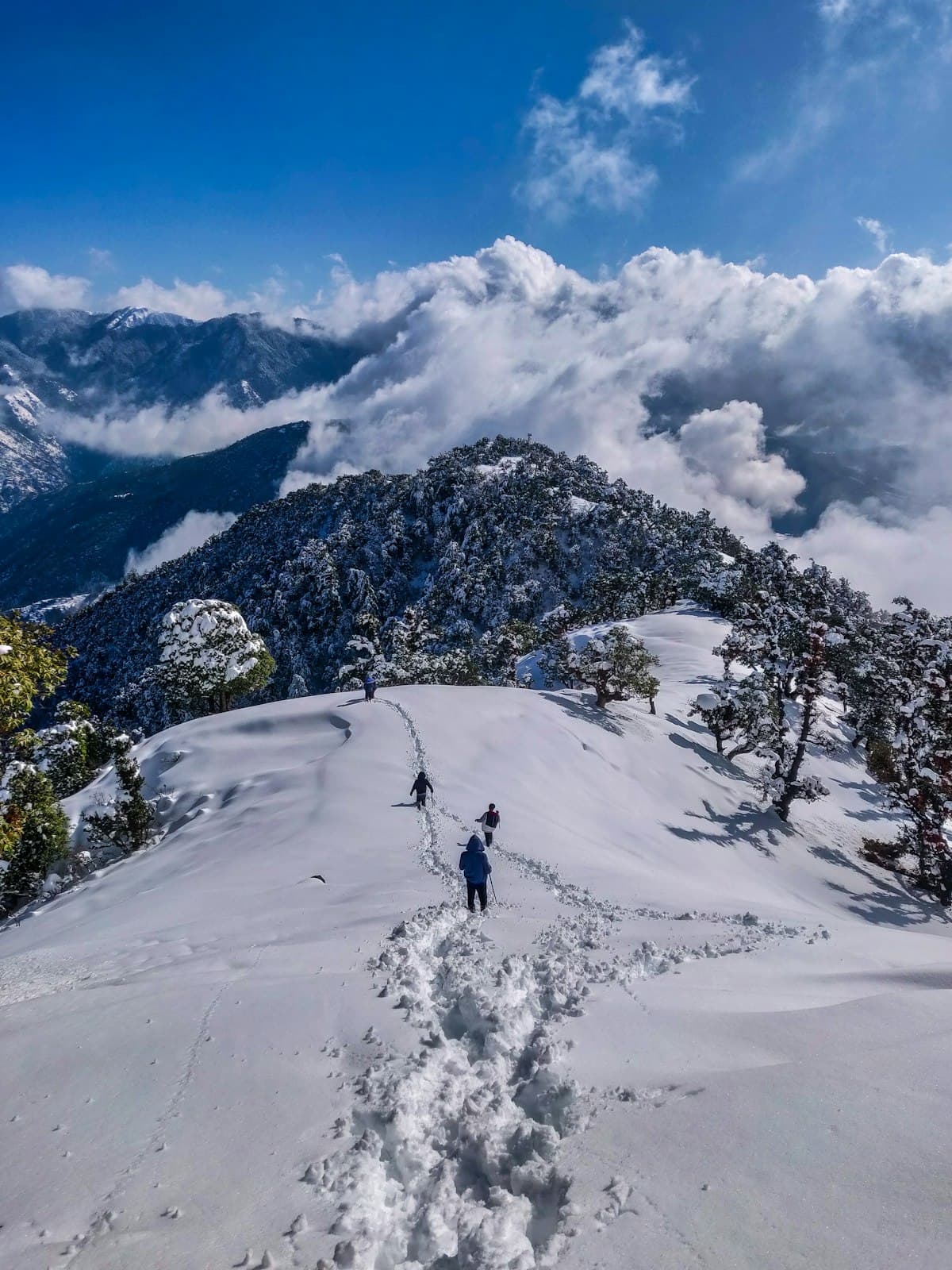Uttarakhand with Kainchi Dham